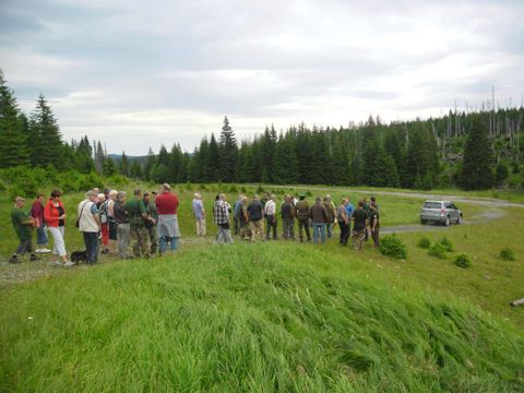 Foto 15